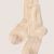 Ivorygold
