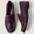 Darkplum